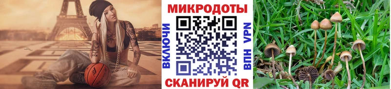 Галлюциногенные грибы Cubensis  где можно купить   Межгорье 